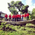 Simpsons Tree Service