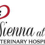 Sienna at Six Veterinary Hospital