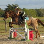 Horseback riding lessons