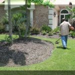 LAWN CARE & TREE SERVICES
