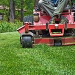LAWN CARE & TREE SERVICES