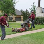 LAWN CARE & TREE SERVICES