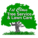LAWN CARE & TREE SERVICES