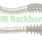 HR Backbone