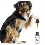 Sienna CBD Delivery Corp